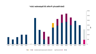 Graph of debt maturity profile